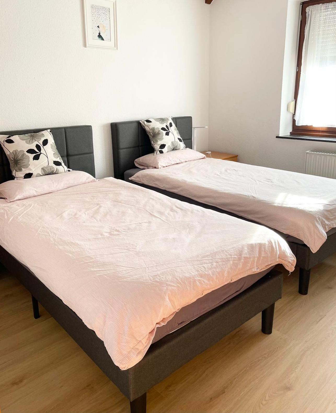 Duesseldorf Messe, 2-Bedroom Duplex Apartment With Terrace And Garden Dış mekan fotoğraf